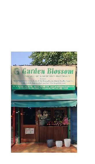 Garden Blossom